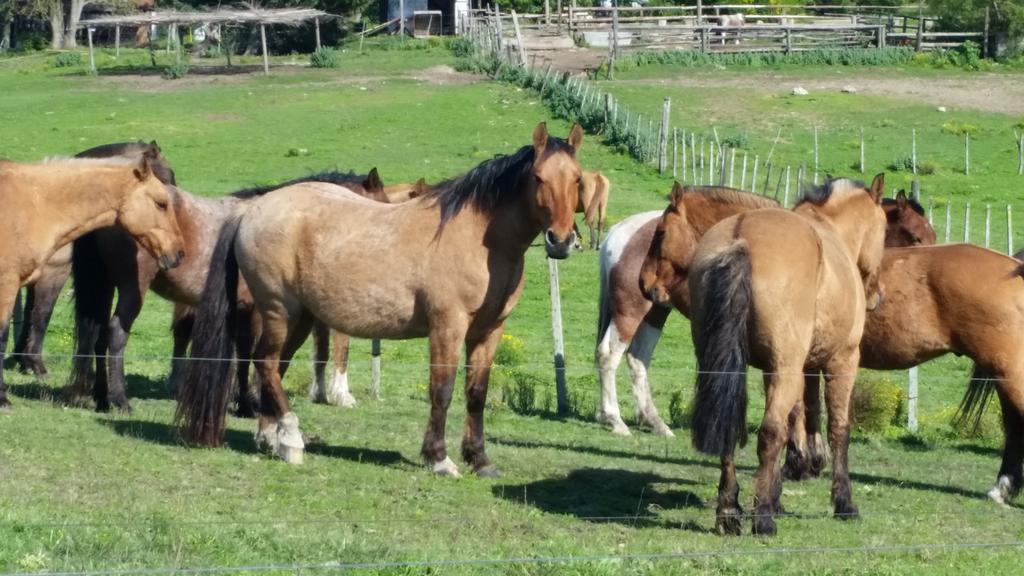 Estancia Turistica Don Joaquin Scavino Εξωτερικό φωτογραφία
